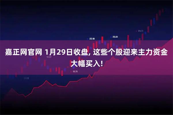 嘉正网官网 1月29日收盘, 这些个股迎来主力资金大幅买入!